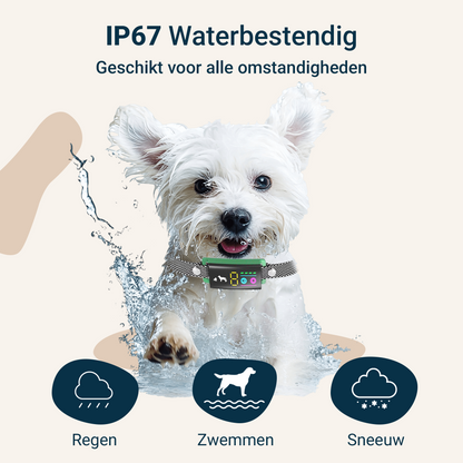 Sompets® Anti Blafband V20 - Anti Blaf Apparaat voor kleine en middelgrote honden - Opvoedingshalsband Zonder Schok - LED-display - Waterdicht - Oplaadbaar