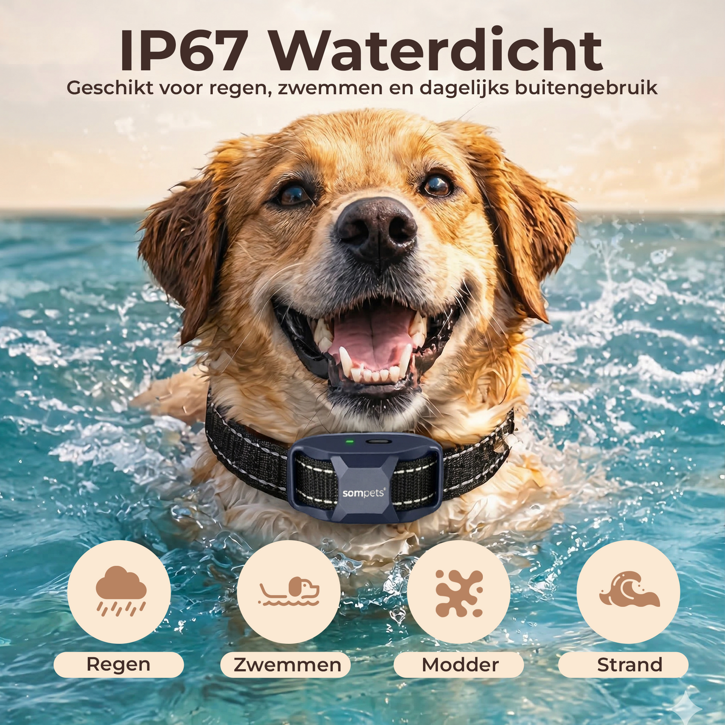 Sompets® RS11 Trainingsband + Ultrasone – Zonder Schok