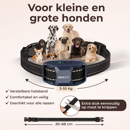 Sompets® RS11 Trainingsband + Ultrasone – Zonder Schok