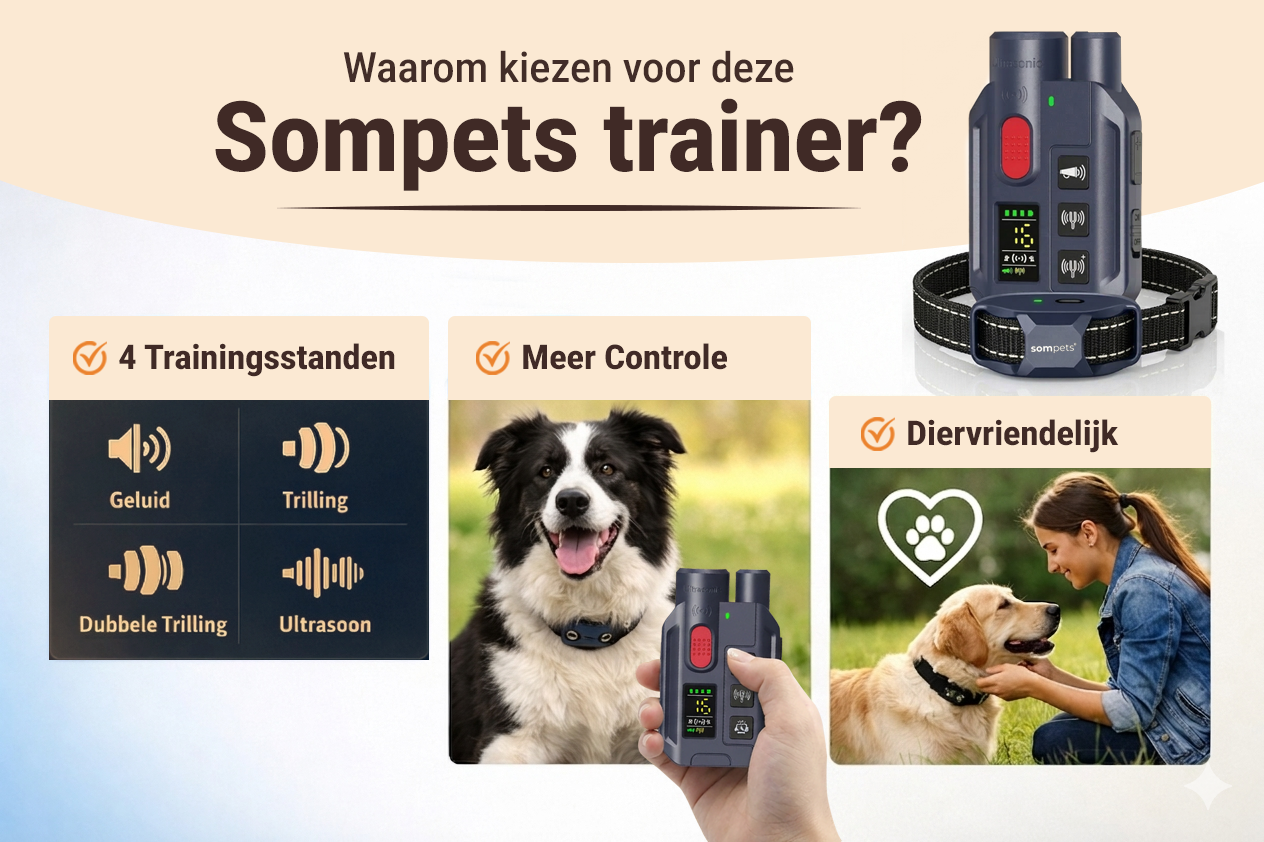 Sompets® RS11 Trainingsband + Ultrasone – Zonder Schok